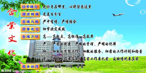 杏彩体育app:中国管理创新的例子(中国市场创新的例子)
